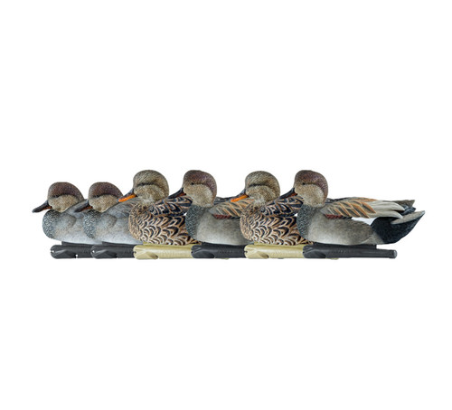 TopFlight Gadwall Decoys 6 Pack by Avian-X