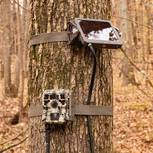 6V Feeder/ Micro Camera Power Panel by Moultrie
