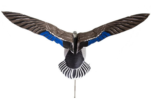 Clone Mallard Drake Motion Decoy by Higdon Outdoors, designed to mimic real-life flapping ducks with realistic wing beat and true flying body posture. Includes remote control (syncs up to six decoys), remote stand, power cord, and durable carrying/storage case. Ideal for attracting waterfowl during hunting with lifelike details and motorized movement.
