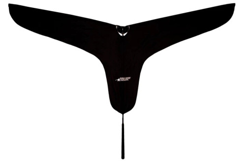 Black Hypnotizer Goose Flag by Rig Em Right