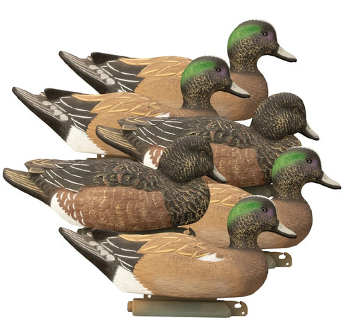 Battleship Wigeon Foam Filled Duck Decoys by Higdon Outdoors, 6-pack featuring realistic high-contrast feather details, weighted self-righting keel for easy setup, multiple head postures, and foam-filled durability. Includes 4 Upright Drakes and 2 Resting Hens, designed to attract Wigeon and other waterfowl with vibrant colors and natural tones. Official Decoy of Ducks Unlimited.
