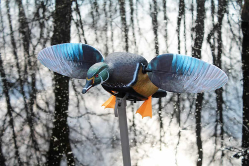 Mojo Elite Series Woody by Mojo Outdoors