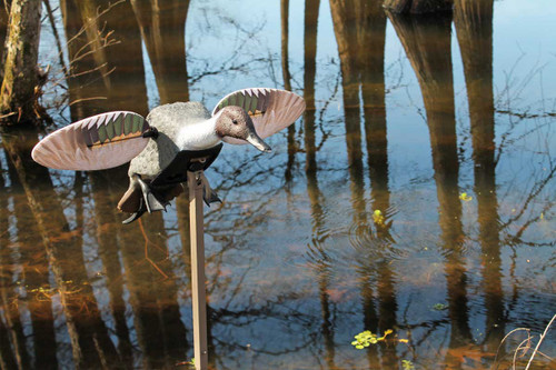 Mojo Pintail by Mojo Outdoors