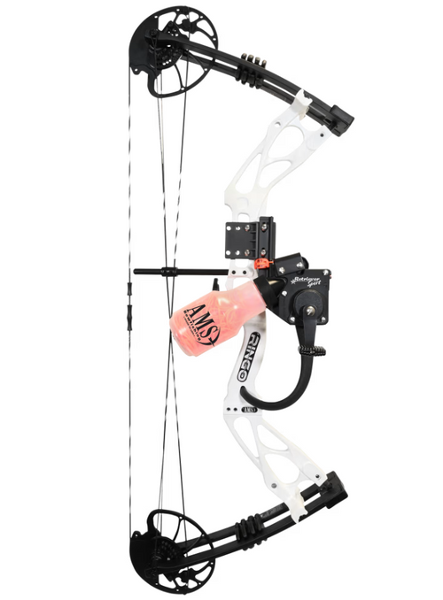 Ringo Compound Bow Right Hand by AMS Bowfishing