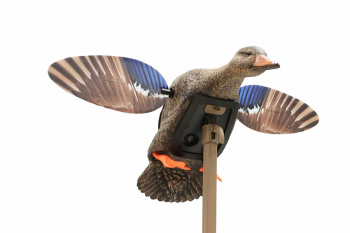 Mini Mallard Remote Hen by MOJO