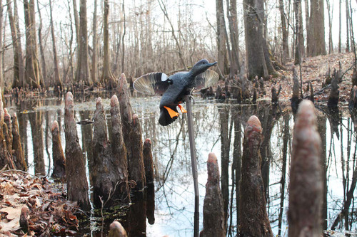 Elite Series Gadwall by Mojo Outdoors