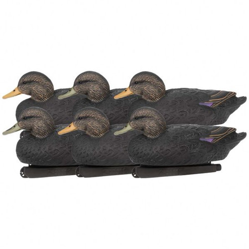 Hunter Series 6 Pack Floater Black Duck Decoy by Zink