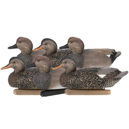 Floater 6 Pack Gadwall Duck Decoy by Zink