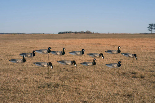 GHG Pro-Grade Canada Honker Goose Sock Decoys by Banded