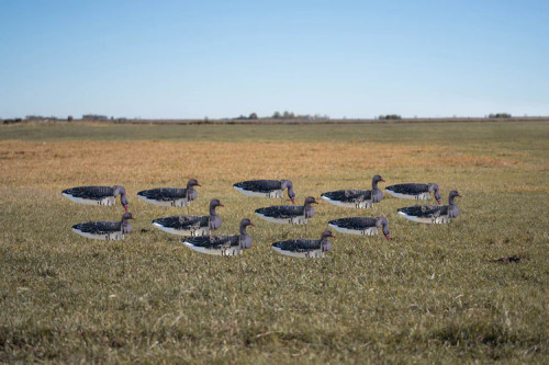 Pro Grade Sock Decoys Regular Specklebelly by Banded