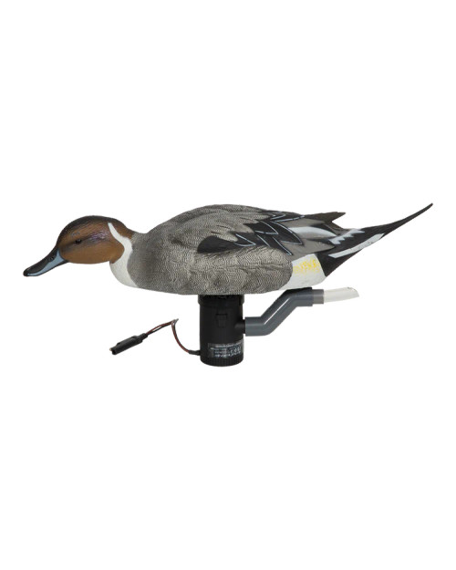 GHG Finisher Swimmer Motion Pintail Drake by Banded