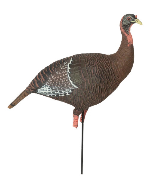 GHG Pro Grade XD Upright Hen Turkey Decoy by Banded