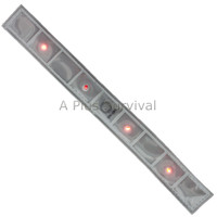 White Reflective Band with 4 LED Lights