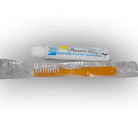 144 Toothbrush and Toothpaste Combo