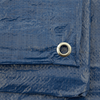 Blue Tarp - 6' x 8'