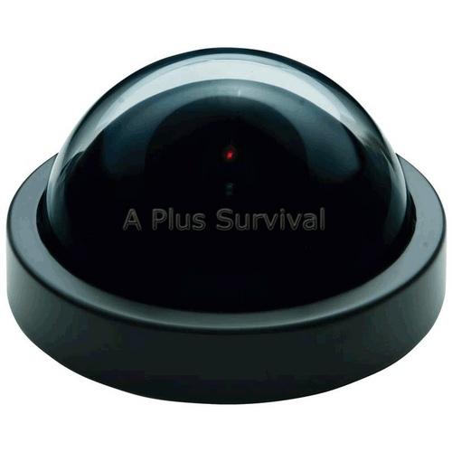 Fake Dome Security Camera