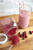 Harvest Right In-Home Freeze Dryer - Medium