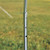 Tent 12' x 12' Canopy
