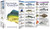 Saltwater Game Fish of North America