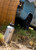 40oz Klean Kanteen Wide Mouth Loop Cap - Steel