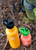Klean Kanteen Sport Cap 3.0