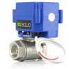 Motorized Ball Valve- 1/4" Stainless Steel, 2 Wire Auto Return, 9-24 V DC/AC