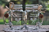 Mexican Wedding Mason Jars by Design Imagery Engraving
