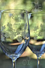 Winery Wedding Crystal Wine Glasses for the Bride and Groom