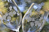 Closeup of Ivy Bride Groom Wedding Wine Glasses by Design Imagery Engraving