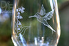 Closeup of Hummingbird by Design Imagery Engraving