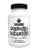 Buy Black Mamba Fadogia Agrestis   Bodyconsciousuk.com