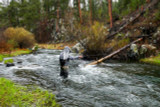 The Golden Rule Of Fly Fishing