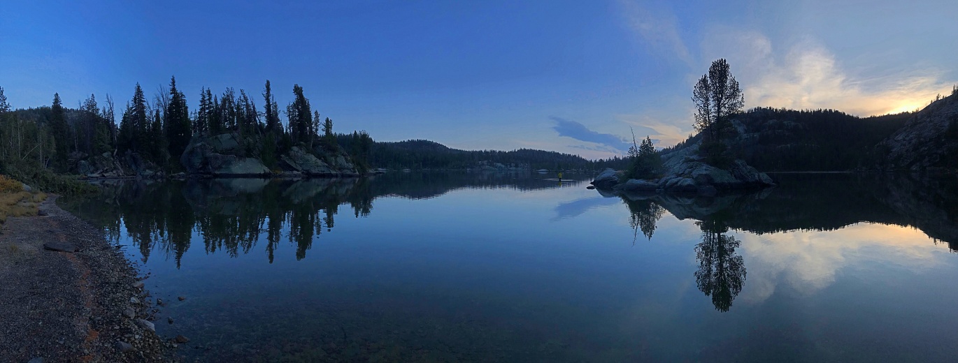 syndicate fly rods for sale