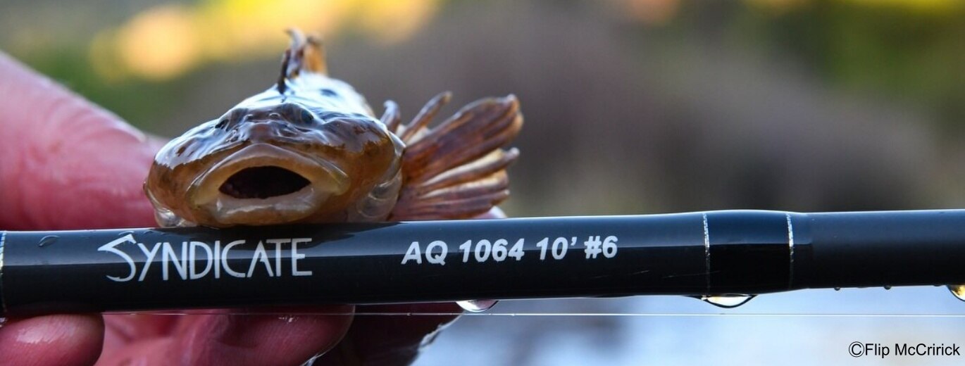 A hopper-dropper fished on a short leader is a killer fall rig for