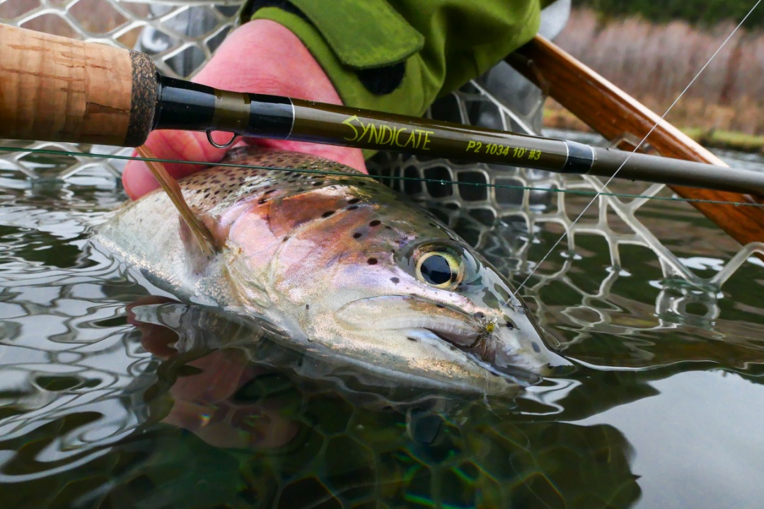 Dry Fly Fishing