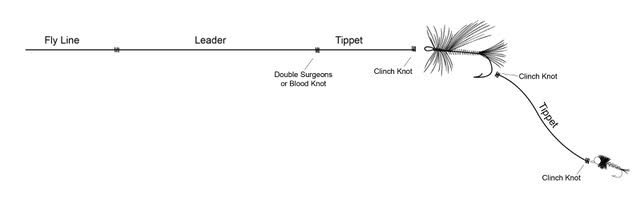 3 Dry Dropper Rigs. An Illustrated Step by Step Guide: Noses Up