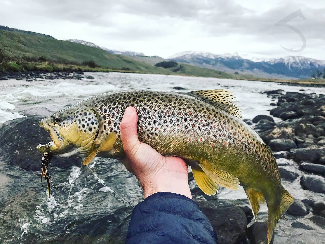 Right hand or left hand?, Global FlyFisher