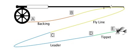 Fly Line Backing 101 (2024 In-depth Guide)