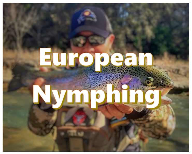 what is european nymphing