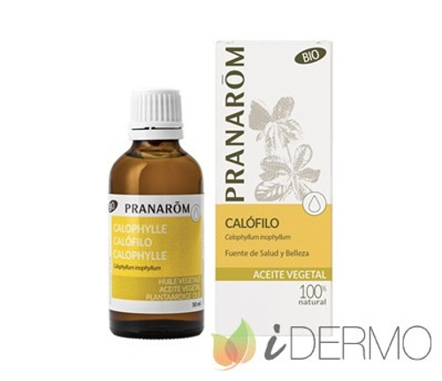 Pranarom calófilo
