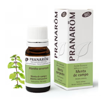 PRANAROM AEQT ACEITE ESENCIAL  MENTA DE CAMPO BIO  10 ML