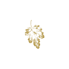 Fondata 1872