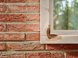 Alabastine Houtrotvuller 1
