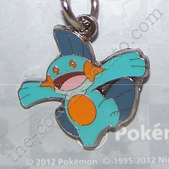 marshtomp pokemon