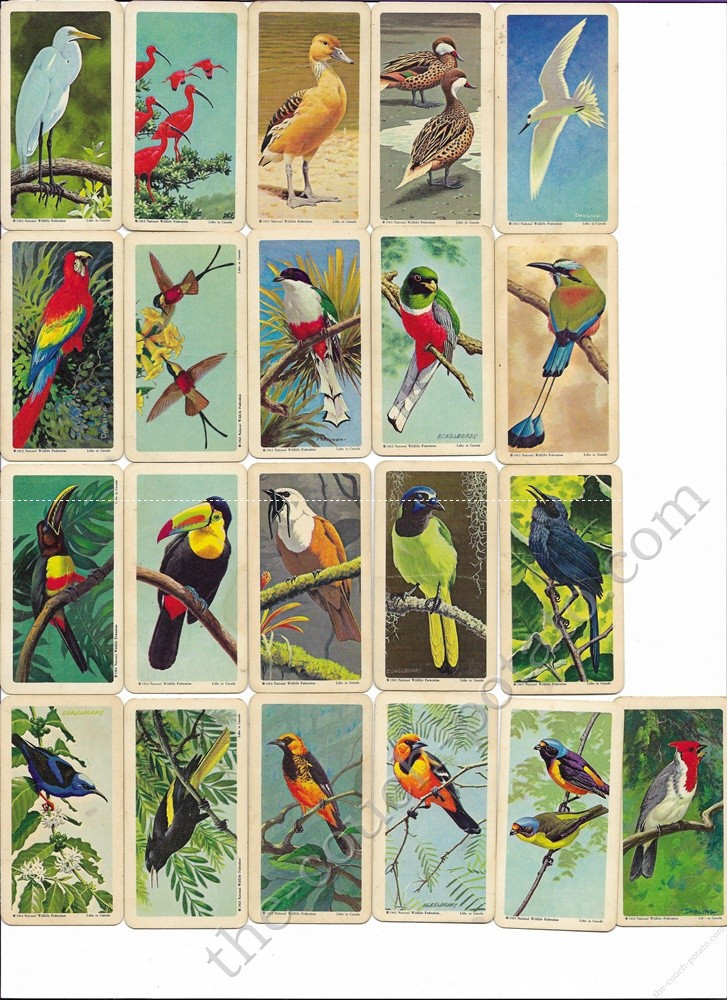 Brooke Bond Tea Cards - Series 6