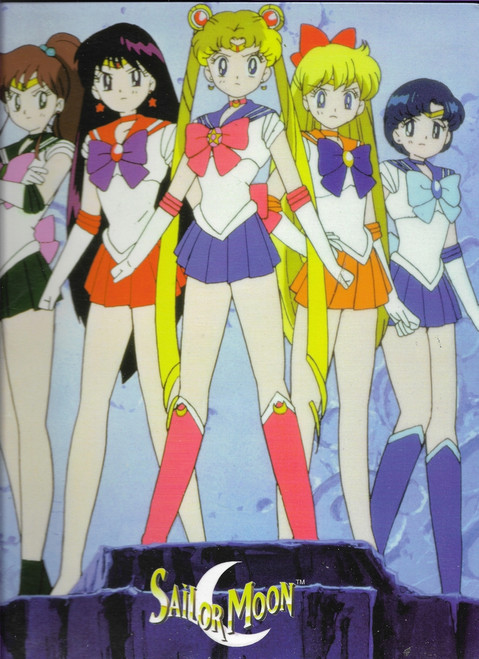 Sailor Moon Folder
