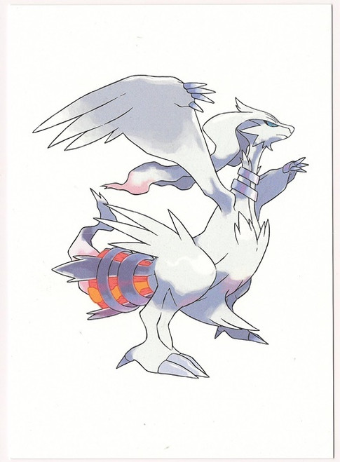 Pokemon Reshiram Black White Game Art Folio Sheet