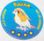 Pokemon Pidgeot Battle Disc Pog