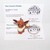 Pokemon Eevee keychain Basic Fun