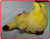 Pokemon Pikachu Hasbro Plush 5532